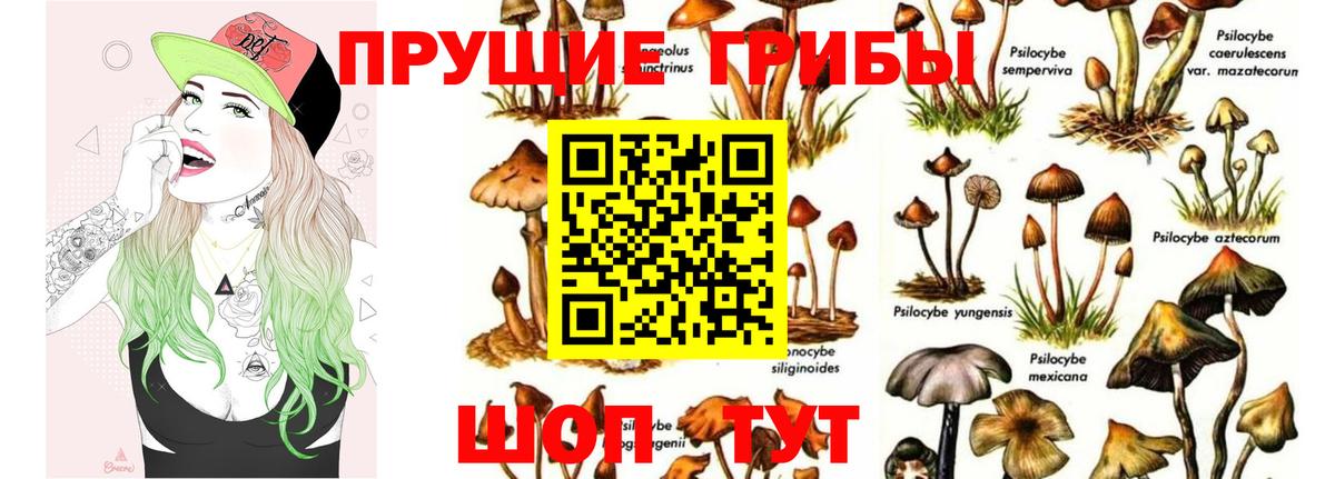 Псилоцибиновые грибы ЛСД  Вход с VPN  Сарапул  Псилоцибиновые грибы Psilocybe 